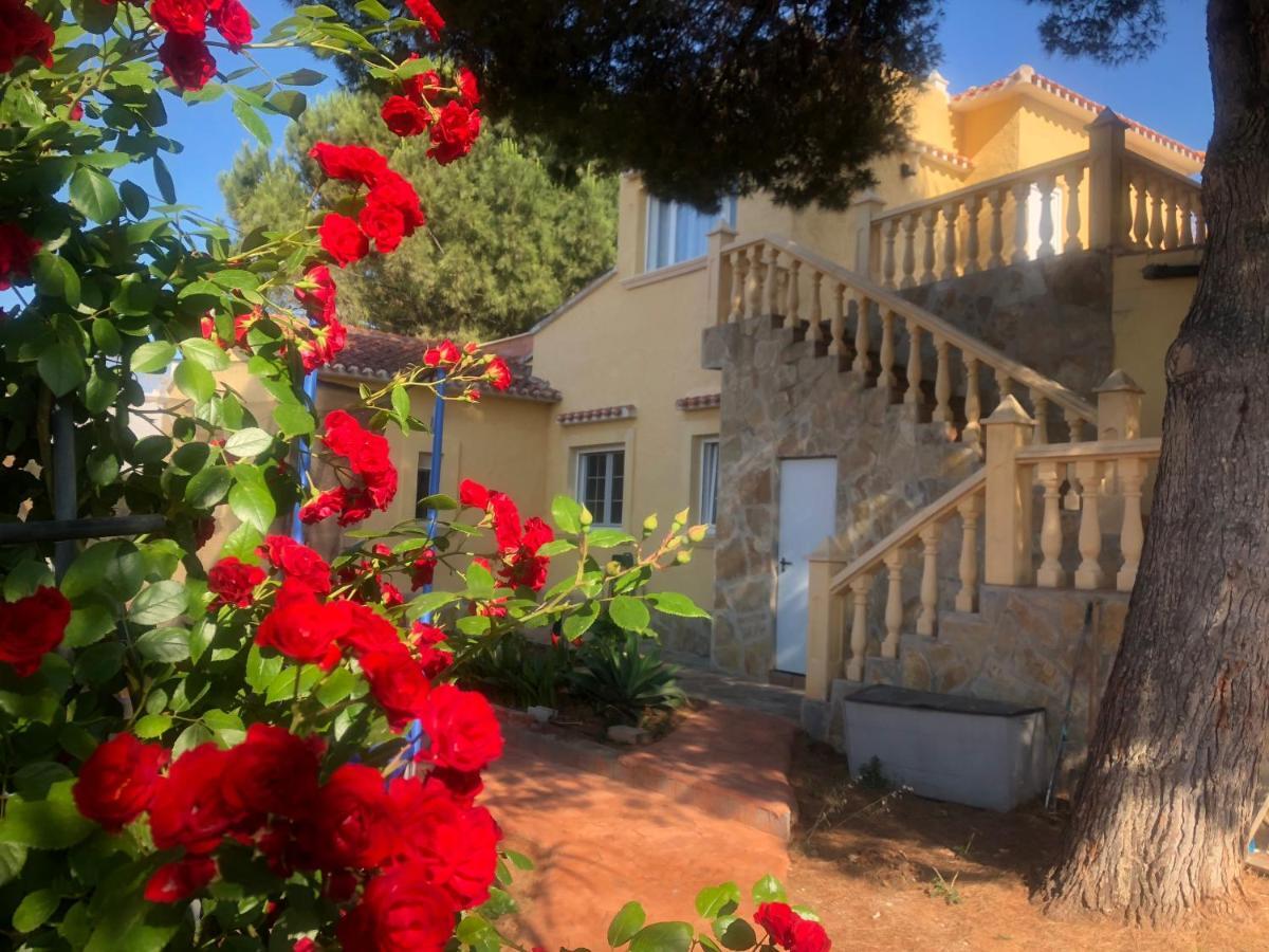 Villa Eliza Denia Bagian luar foto